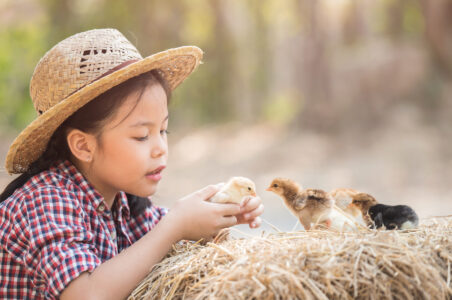 Seek Out Small Farms and Buy Direct from Farmers Image